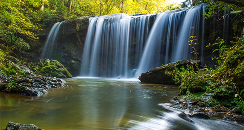 Brasstown AAAA (600x400)